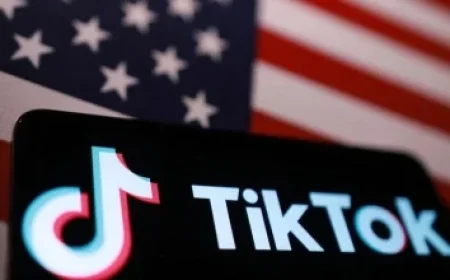 Key Challenges Driving Stock Decline