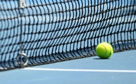 Tennis Star Receives 12-Year Ban for 22 Match-Fixing Offenses