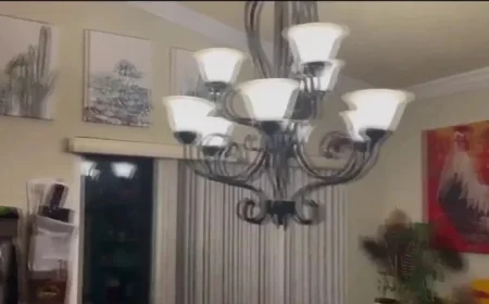 Earthquakes Rattle San Ramon on Friday Night