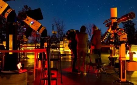 Discover the City’s Top Winter Show Under Pitch-Black Skies