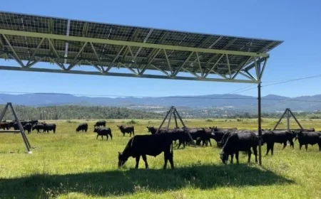 Oregon Ranch Installs Solar Panels, Preserves Grazing Land
