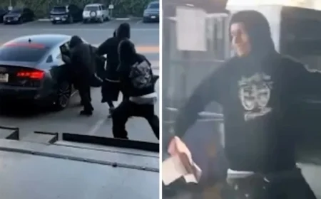 Rising Incidents of High-Volume Mail Theft Revealed by Data