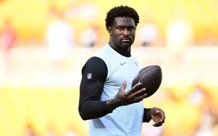 Steelers’ DK Metcalf Confronts Fan in Sideline Altercation Against Lions