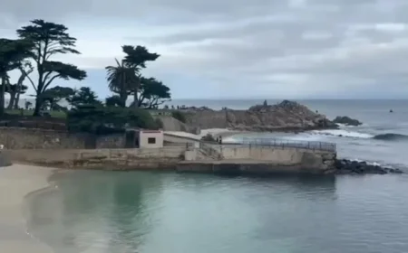 Authorities Search for Missing CA Swimmer After Suspected Shark Attack