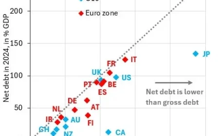 Japan’s Strategic Path to Overcome Debt Overhang