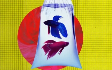 Anthropic’s AI Bankrupts Vending Machine by Ordering PlayStation 5 and Fish