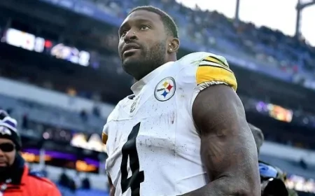 Steelers’ Metcalf Allegedly Punches Fan in Game Incident