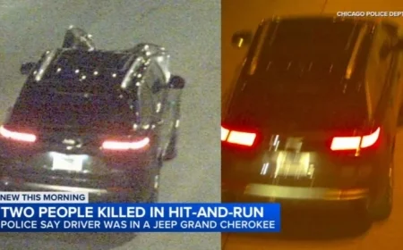 Chicago Hit-and-Run: Two Dead in Morgan Park, Police Report