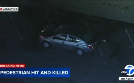 12-Year-Old Boy Fatally Struck in Winnetka; Driver Arrested for DUI