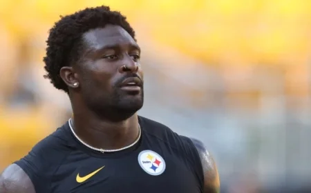 DK Metcalf Previously Reported Same Lions Fan to Seahawks Security in 2024