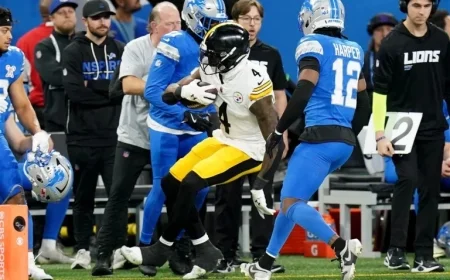 Steelers’ DK Metcalf Risks Suspension After Detroit Fan Incident