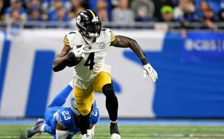 Alternate Angle of DK Metcalf Fan Punch Video Emerges from Steelers Game
