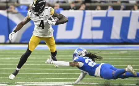 Fan Denies Using Hate Speech in Altercation with Steelers’ DK Metcalf