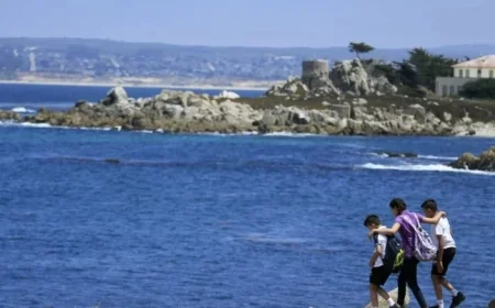 Swimmer Missing in Monterey Bay Sparks Shark Attack Fears