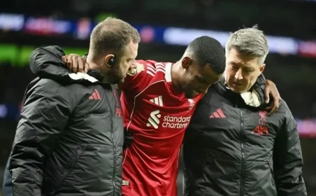 Alexander Isak: Concerns Rise Over Potential Broken Leg in Tottenham Clash