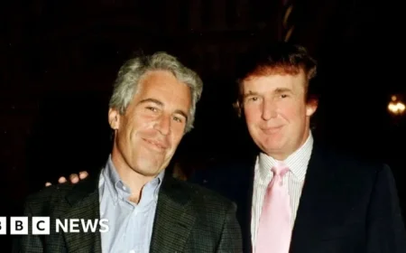 Impact of Epstein Files Release on MAGA Movement