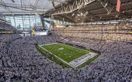 Watch and Stream Vikings vs. Lions: 2025 Week 17 Guide