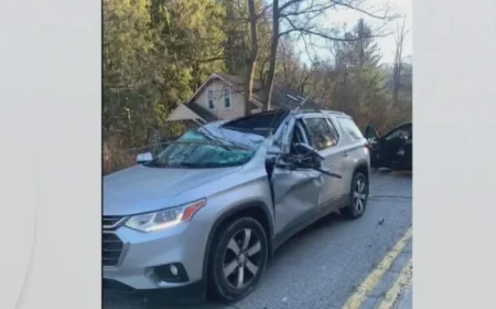 Tree Fall Tragedy: Woman Killed in White Oak Car Incident