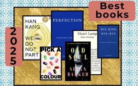Top Six Novels of 2025 Selected by Literary Experts