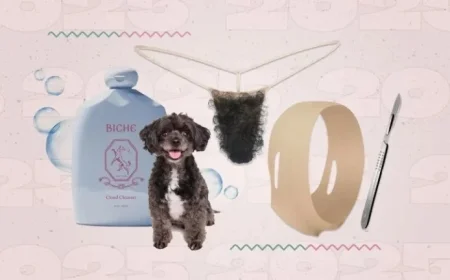 Top Beauty Trends of 2025: Dog Grooming, Pubic Hair Styling, Appearance Inflation