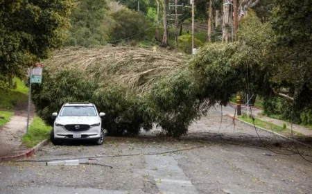 Berkeley Prepares for Intense Rain and Hazardous Winds