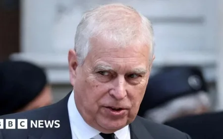 Enduring Tale: Andrew and Jeffrey Epstein’s Story Persists