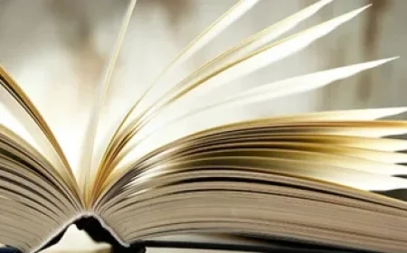 Celebrities Like Tara Sutaria and Soha Ali Khan Adorn Christmas Trees