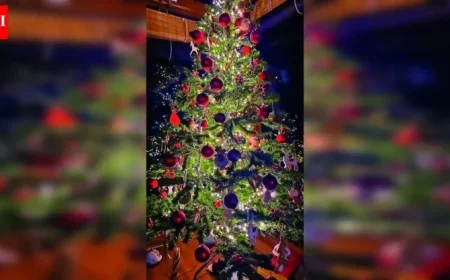 Celebrities Share Personal Stories Behind Their Festive Christmas Trees