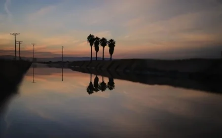 California Farmer Arrested for Murder in Arizona Wife’s Death