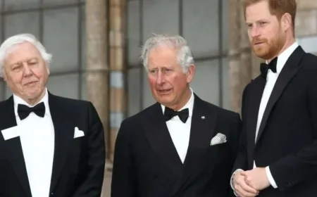 Charles Saddened as William and Harry’s Rift Persists