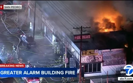 Major Blaze Engulfs San Pedro Commercial Building