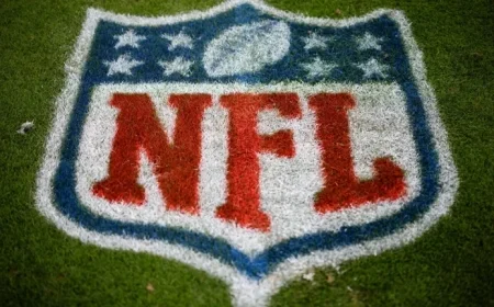 NFL Reviews Fan Conduct at Steelers-Lions Game