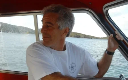 Insights and Gaps in the Latest Epstein Files Release