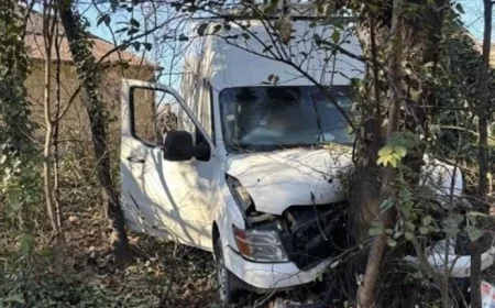 ICE Agents Shoot Undocumented Maryland Man Who Allegedly Rammed Them with Van