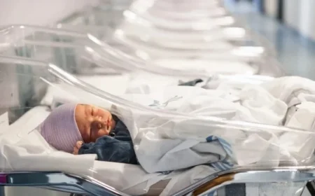 Chinese Billionaire Aims to Expand Legacy with U.S.-Born Sons