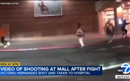 Teen Injured in Shooting After Fight at San Bernardino Mall