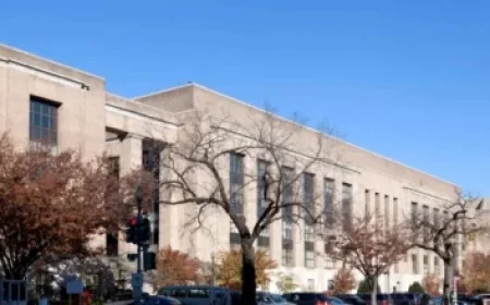 Expect a Foggy Christmas with Potential Freezing Drizzle