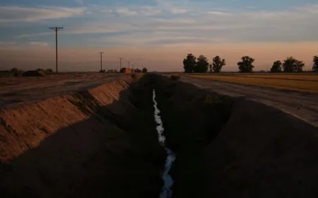 California Farmer Michael Abatti Arrested for Murdering Wife Kerri Ann in Arizona