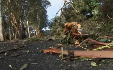 Thousands Remain Without Power in South Bay After Christmas Storm