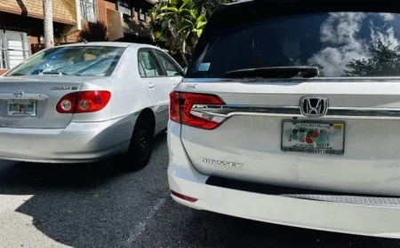 Florida License Plate Law Triggers Immigration Detentions, Wrongful Arrests