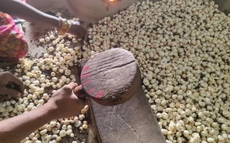 Trump Tariffs Impact Indian Fox Nuts; Superfood Seeks New Markets