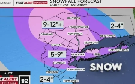 Heavy Snowstorm Hits: Live Updates for New York, New Jersey, Connecticut
