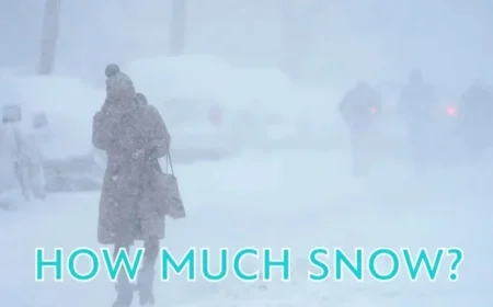 Winter Storm 12/26/25: NYC, NY, NJ, CT Snowfall Totals Revealed