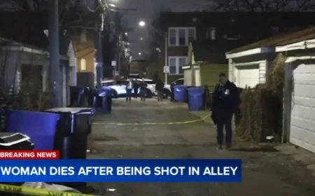 25-Year-Old Woman Fatally Shot in Chicago’s South Side Alley, Police Report