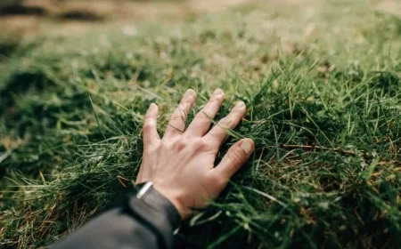 Naware’s Eco-Friendly Weed Killer Set to Revolutionize Lawn Care