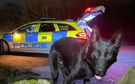 M4 Drivers Witness Man Walking After Range Rover Crash