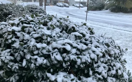 N.J. Forecast: Black Ice and Freezing Temps Today, 50 mph Winds Sunday