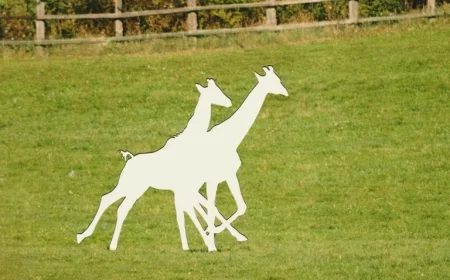 Alicia Silverstone Leads Call for Answers on Missing Baby Giraffes