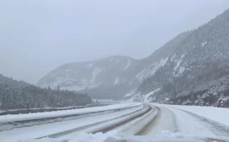 Severe Snow and Winds Pound Parts of Newfoundland and Labrador