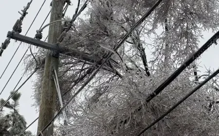 Freezing Rain Leaves Thousands Without Power, Downs Trees in Southwestern Ontario